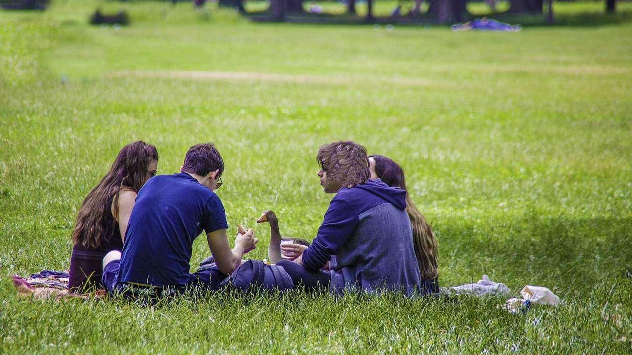 Leicester students chilling in the park